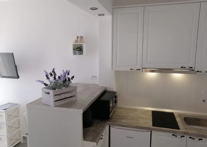 Tomas 마카르스카